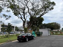 One Tannery (D13), Factory #454847081